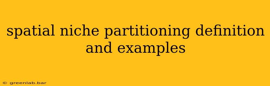 spatial niche partitioning definition and examples