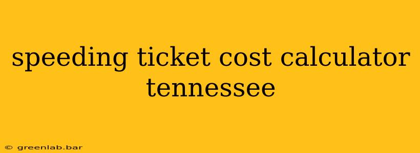 speeding ticket cost calculator tennessee