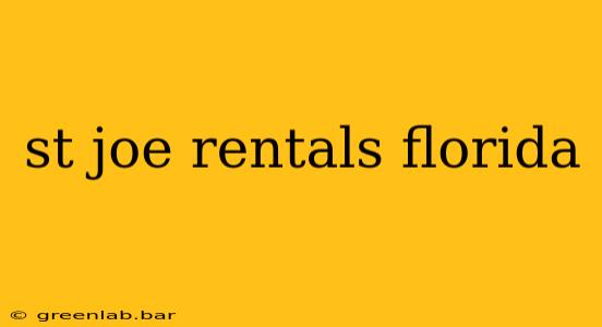 st joe rentals florida