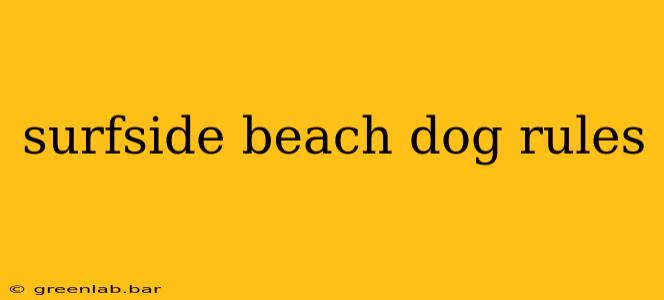 surfside beach dog rules