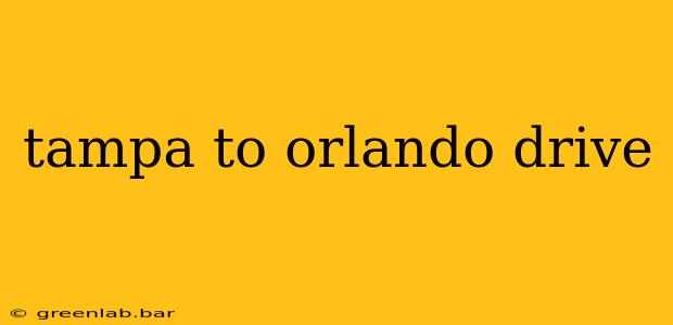 tampa to orlando drive