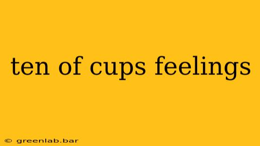 ten of cups feelings