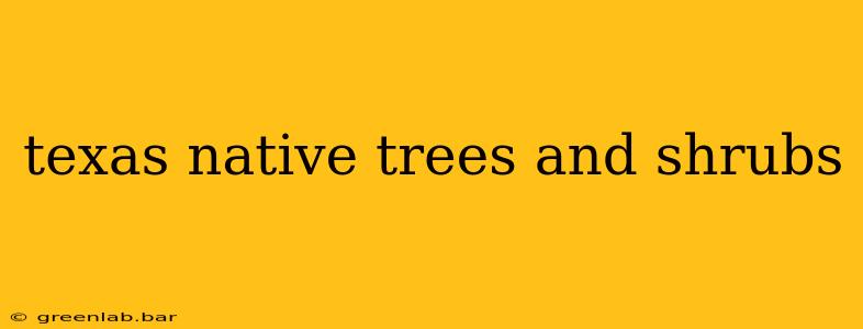 texas native trees and shrubs