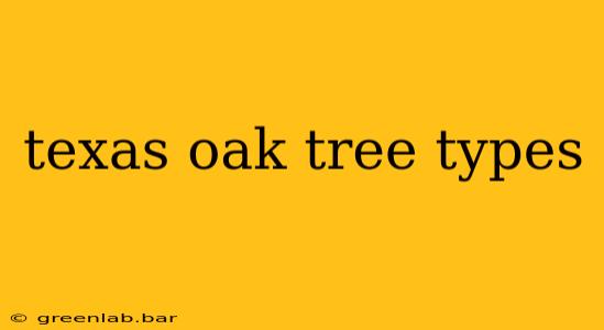 texas oak tree types