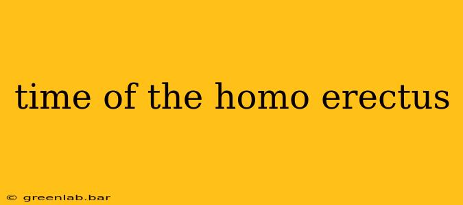 time of the homo erectus