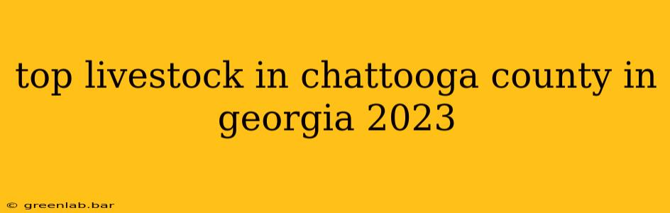 top livestock in chattooga county in georgia 2023