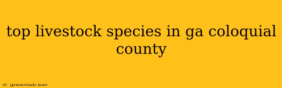 top livestock species in ga coloquial county