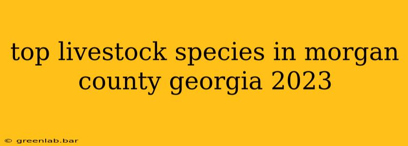 top livestock species in morgan county georgia 2023