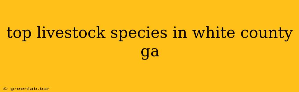 top livestock species in white county ga