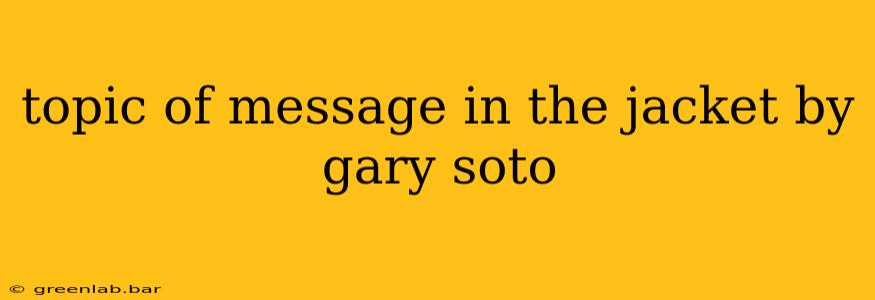 topic of message in the jacket by gary soto