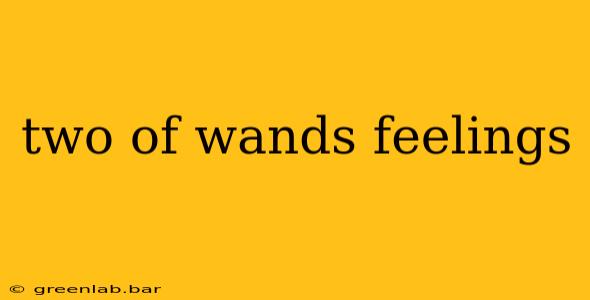 two of wands feelings