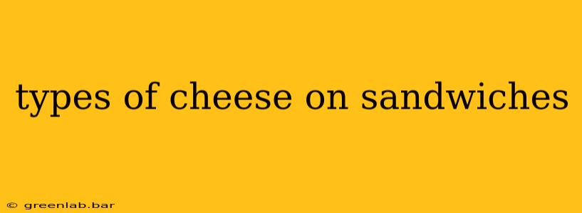 types of cheese on sandwiches