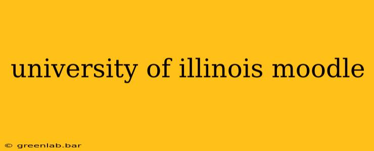 university of illinois moodle