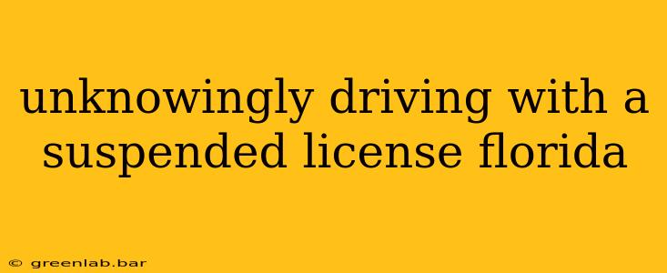 unknowingly driving with a suspended license florida