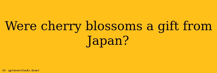 Were cherry blossoms a gift from Japan?