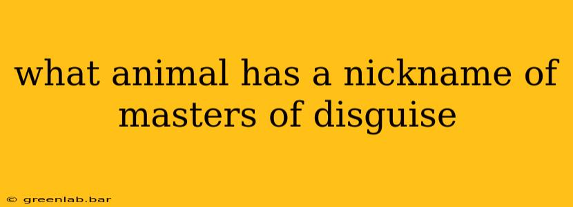 what animal has a nickname of masters of disguise