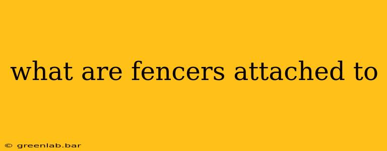 what are fencers attached to