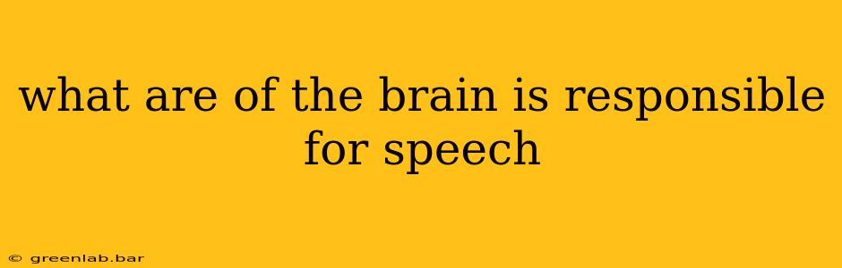 what are of the brain is responsible for speech