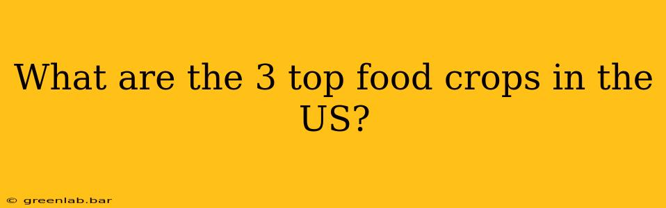 What are the 3 top food crops in the US?