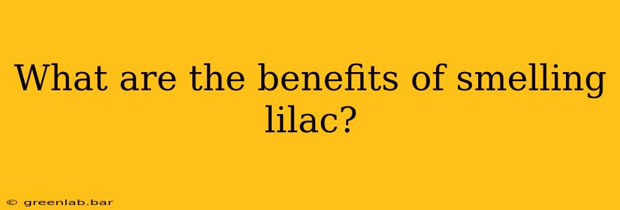 What are the benefits of smelling lilac?