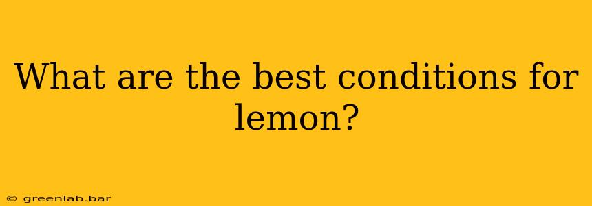 What are the best conditions for lemon?