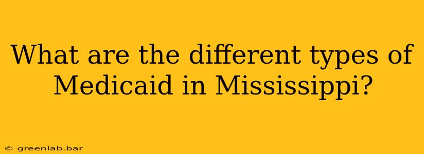 What are the different types of Medicaid in Mississippi?