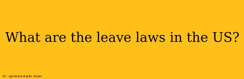 What are the leave laws in the US?