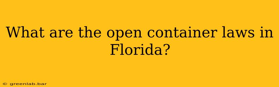 What are the open container laws in Florida?