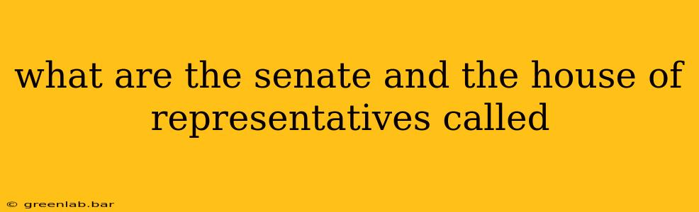 what are the senate and the house of representatives called