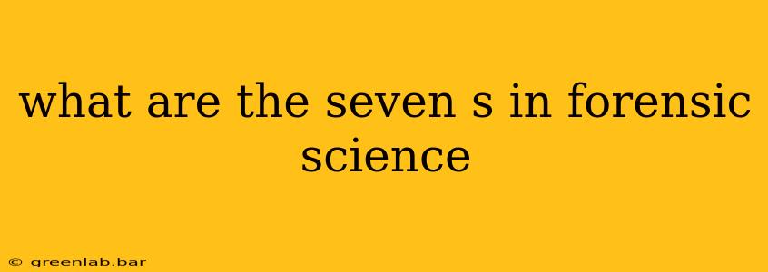 what are the seven s in forensic science