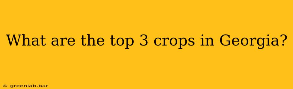 What are the top 3 crops in Georgia?