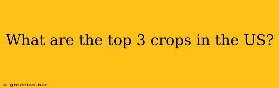 What are the top 3 crops in the US?