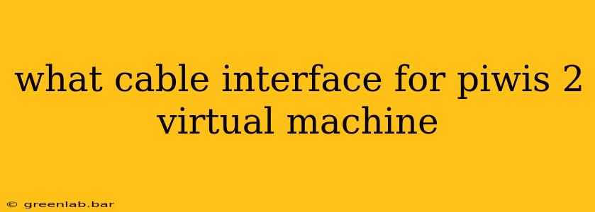 what cable interface for piwis 2 virtual machine