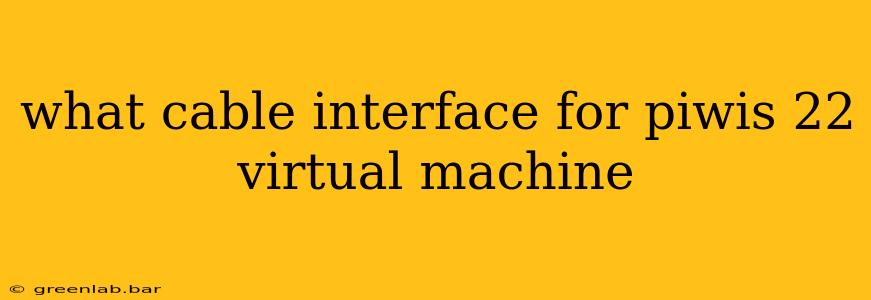 what cable interface for piwis 22 virtual machine
