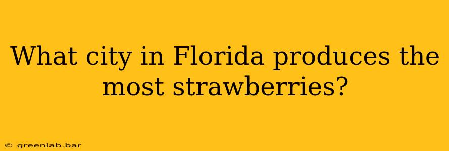 What city in Florida produces the most strawberries?