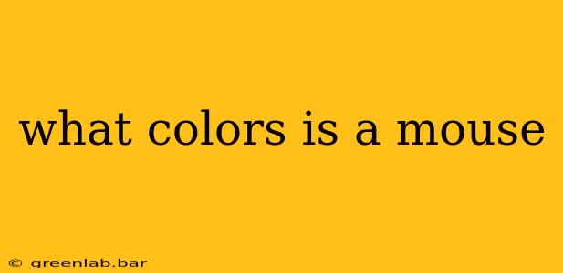 what colors is a mouse