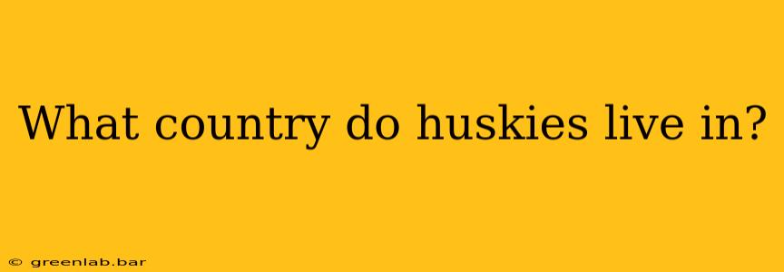 What country do huskies live in?