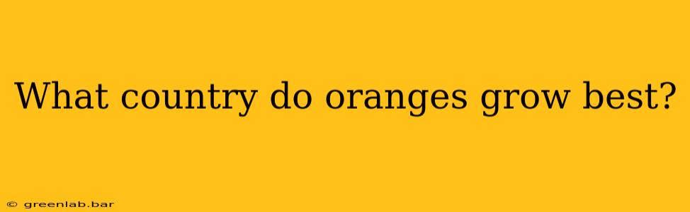 What country do oranges grow best?