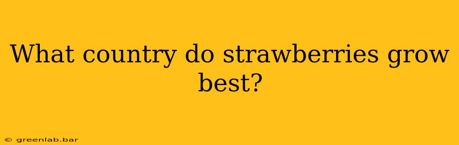 What country do strawberries grow best?