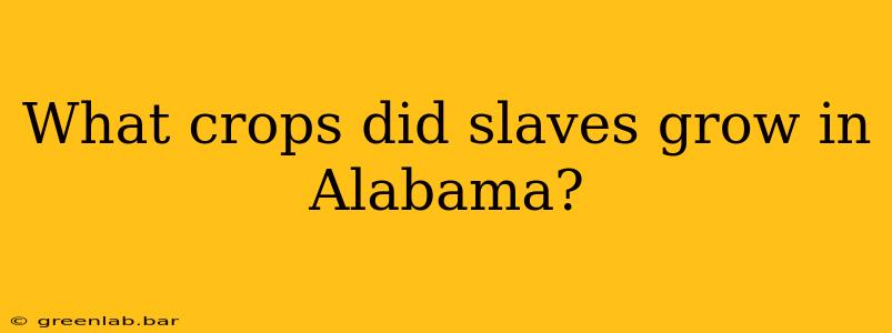 What crops did slaves grow in Alabama?