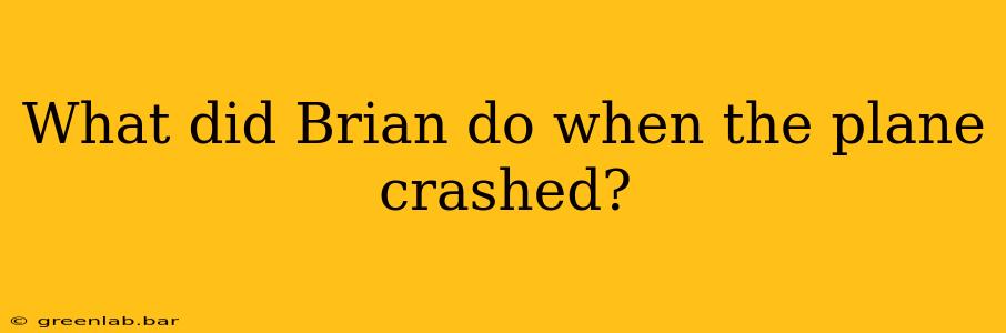 What did Brian do when the plane crashed?