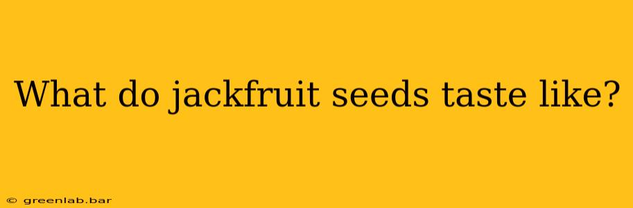 What do jackfruit seeds taste like?