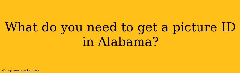 What do you need to get a picture ID in Alabama?