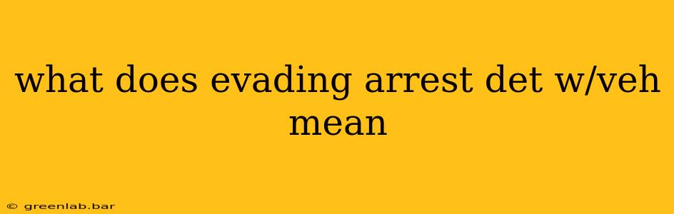 what does evading arrest det w/veh mean