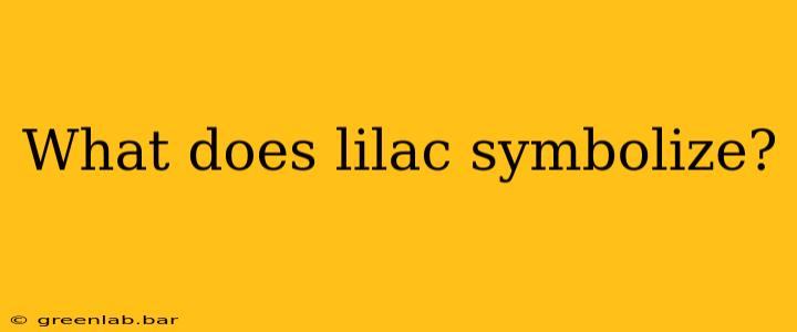 What does lilac symbolize?