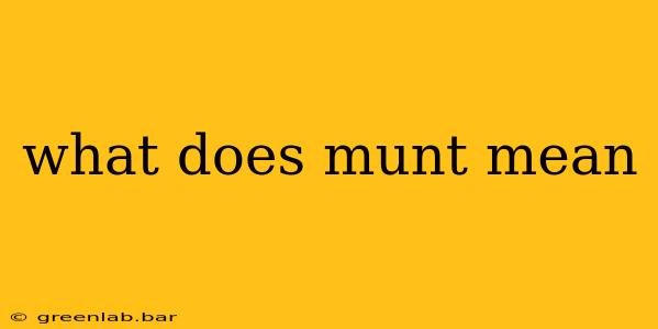 what does munt mean