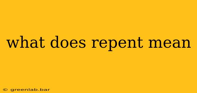 what does repent mean