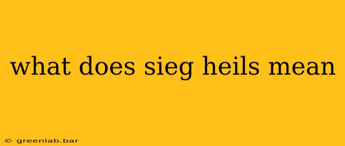 what does sieg heils mean