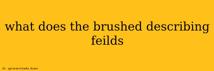 what does the brushed describing feilds