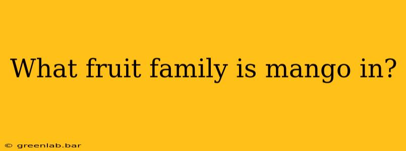 What fruit family is mango in?